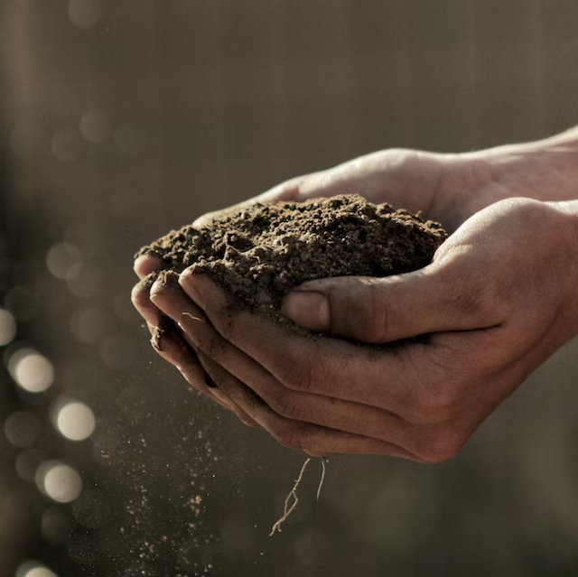 healthy soil regenerative farming