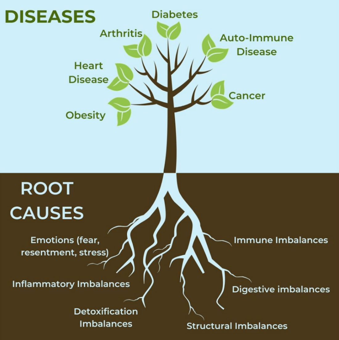 what is functional medicine