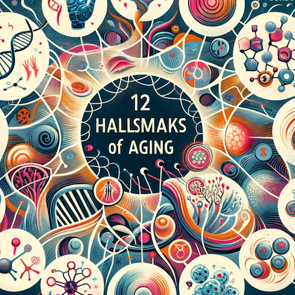 Exploring the 12 Hallmarks of Aging: Keys to Longevity