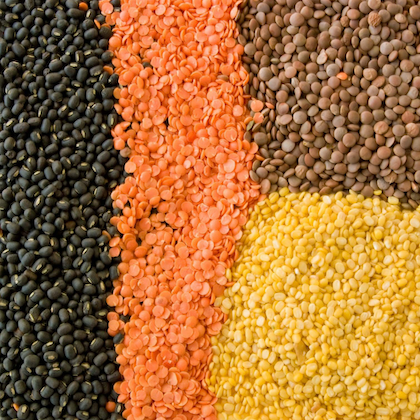 benefits of lentil soup