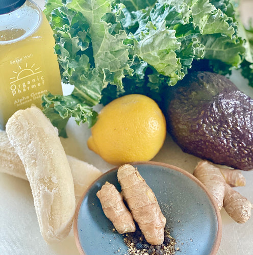 nutrition for longevity with alpha green vegan protein shake