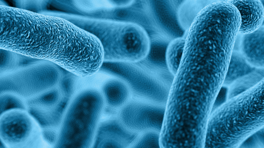 Viruses are everywhere. Sometimes you get sick from them and sometimes you don't. Have you ever wondered why?