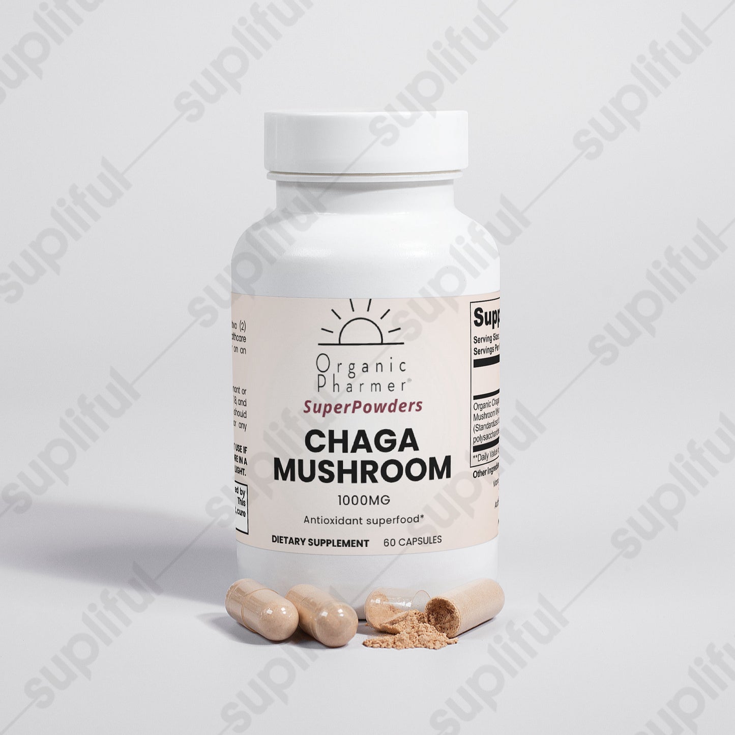 Chaga Mushroom