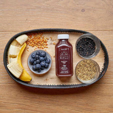 immune boosting elderberry vegan protein shake