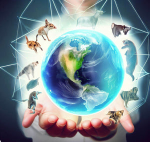 one health aims to assist the health of the whole planet from the environment, to human and animal health 