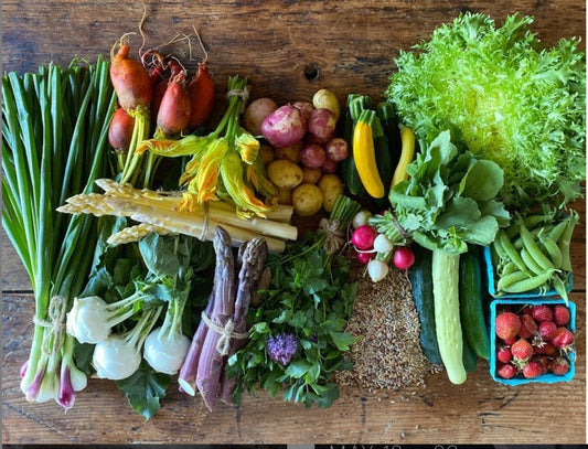 Your gut microbiome is an ecosystem. Read health coach, Lisa Malin's tips on how to keep this ecosystem happy and healthy!