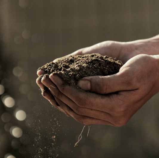 healthy soil  regenerative farming