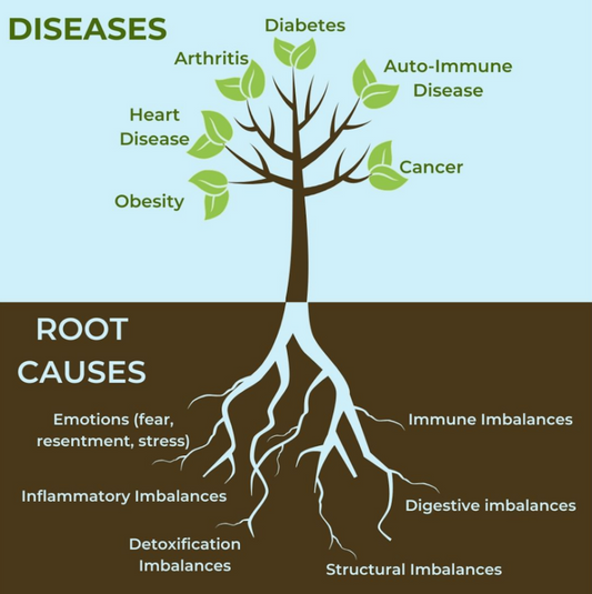 what is functional medicine