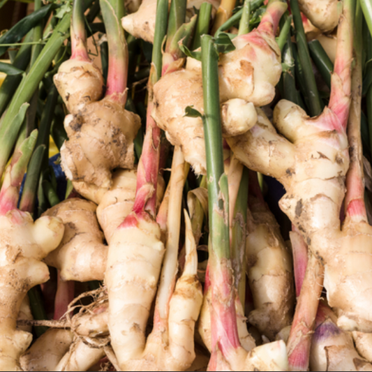 benefits of ginger shots