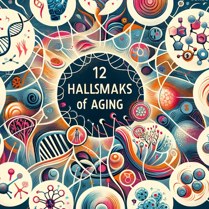 Exploring the 12 Hallmarks of Aging: Keys to Longevity – Organic Pharmer