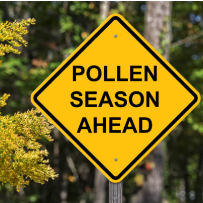 Natural Strategies for Seasonal Allergies: Holistic Relief & Immune Support
