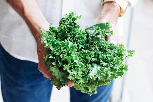 Wellness-Focused Living: A Holistic Approach to Supporting Your Daily Health Journey