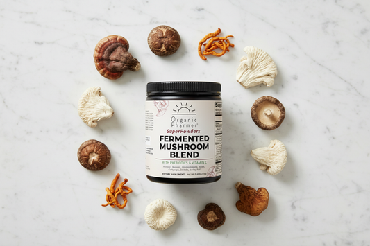 Organic Fermented Mushroom Blend supplement bottle with reishi, turkey tail, shiitake and maitake mushrooms on white marble surface