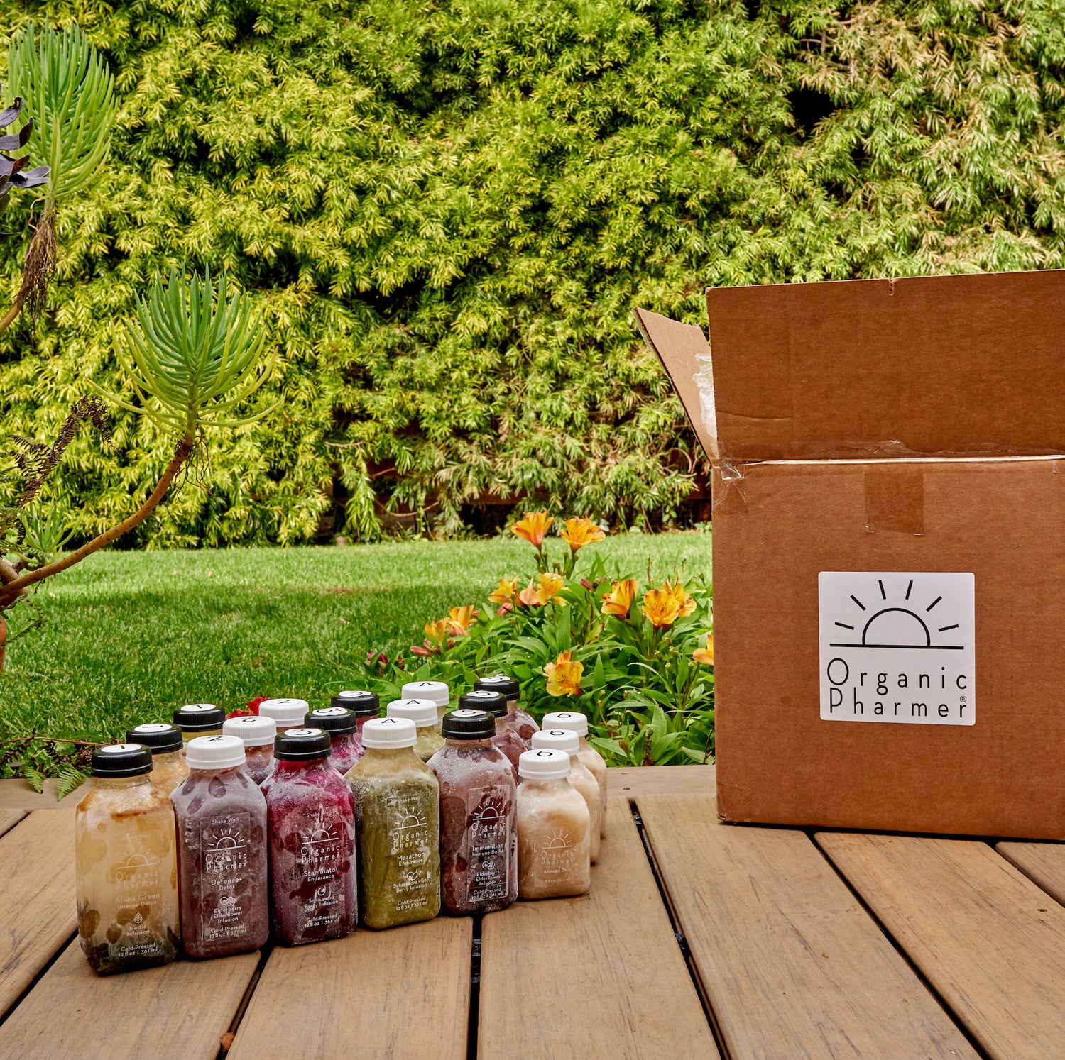 Functional Cleanse