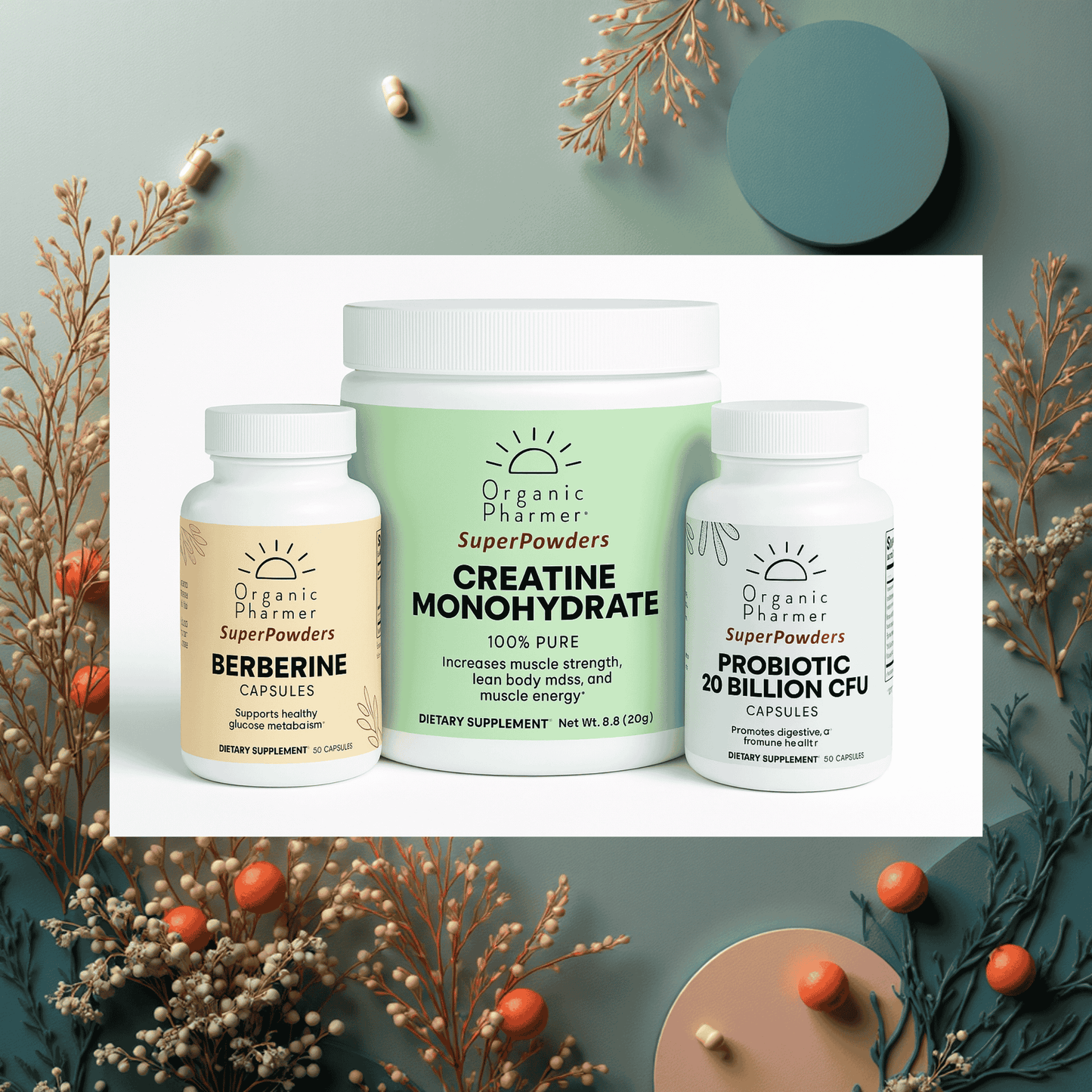 creatine proboitic and berberine supplement starter kit