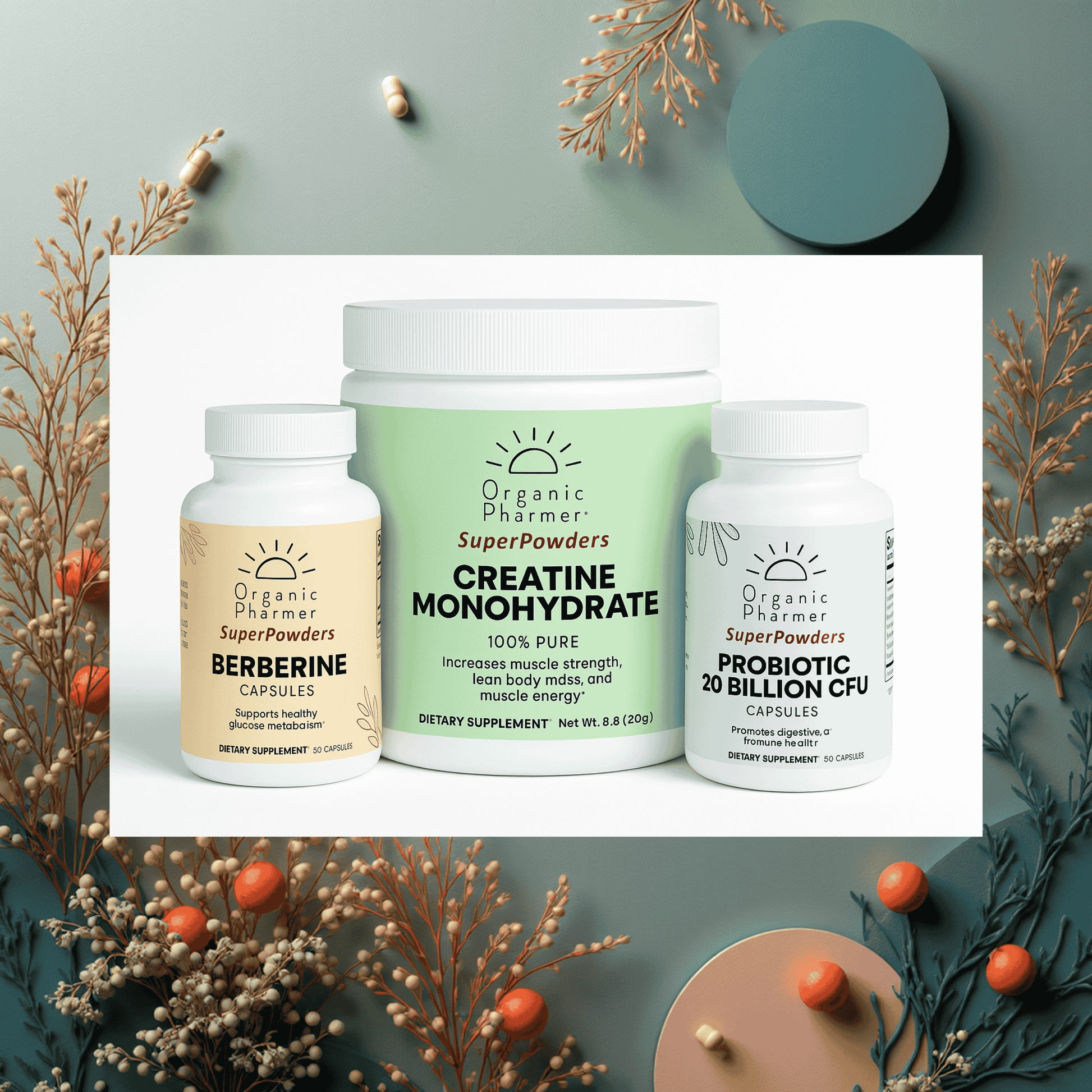 creatine proboitic and berberine supplement starter kit