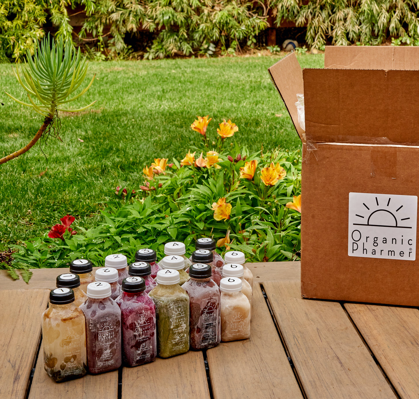 3 day detox
